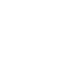 Logo Janicki Truck małe